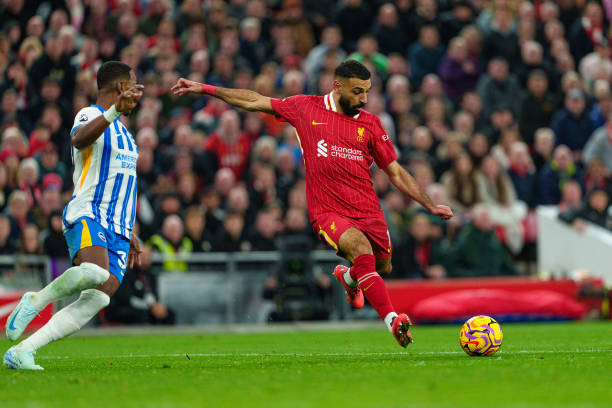 浙江女排 浙江女排