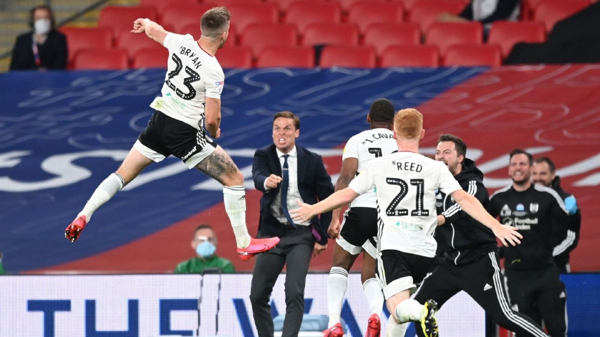 仅反映出马 仅反映出马